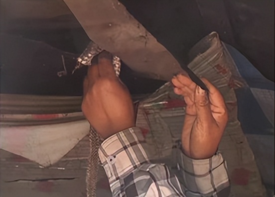 刘玉平与蛇同居,刘玉平与蛇相处视频