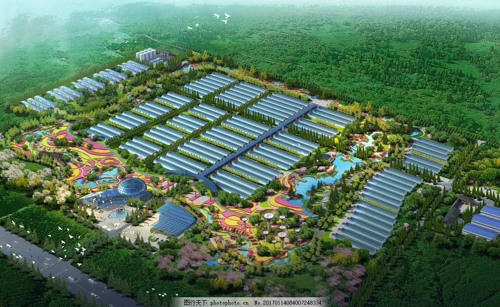 五一回老家，土地被流转了，是谁在割农民的韭菜？