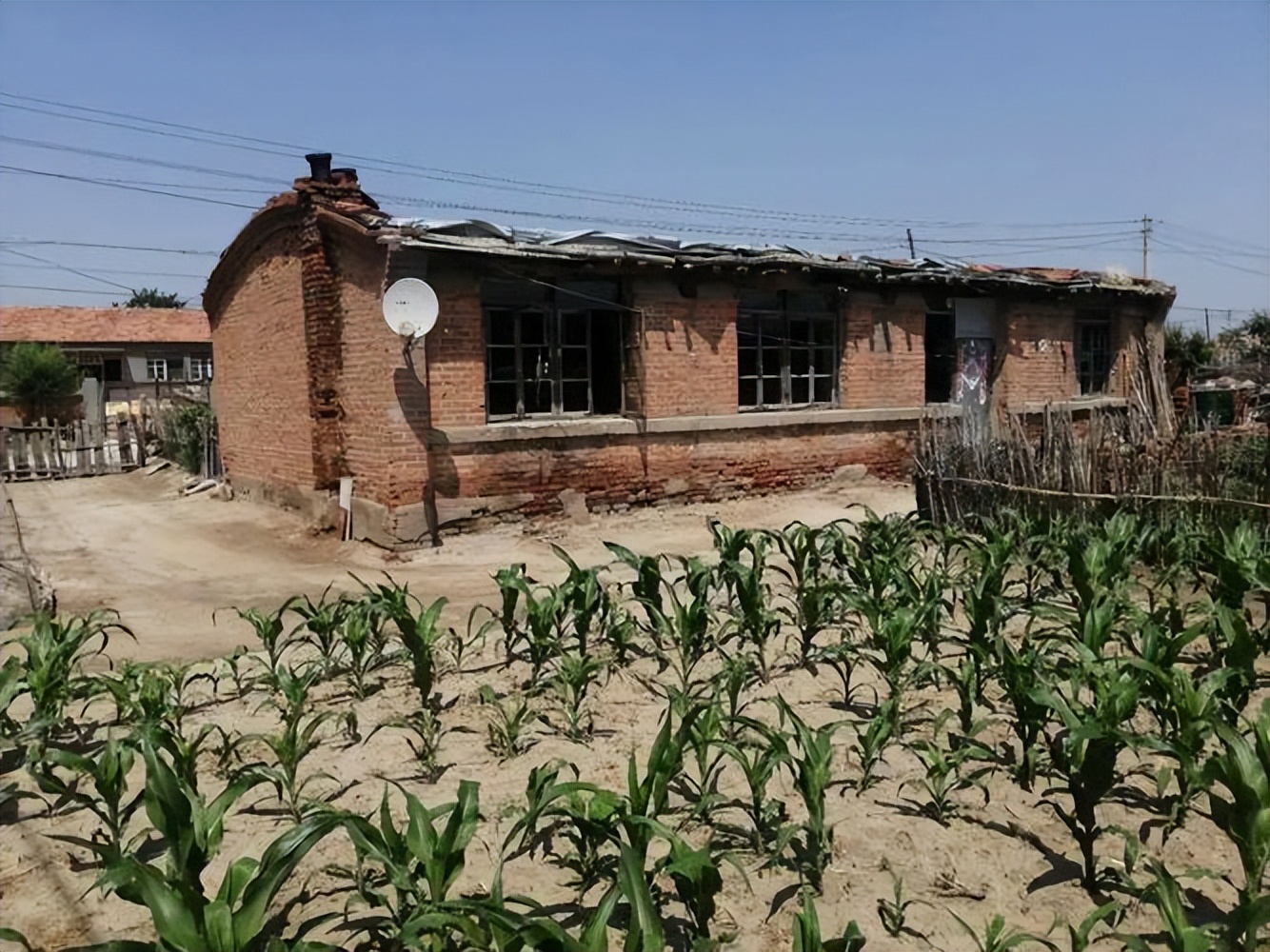 美国百万年薪挖走中国神童,美国高薪挖人才