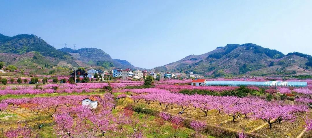 近乡情怯,归来仍是少年!