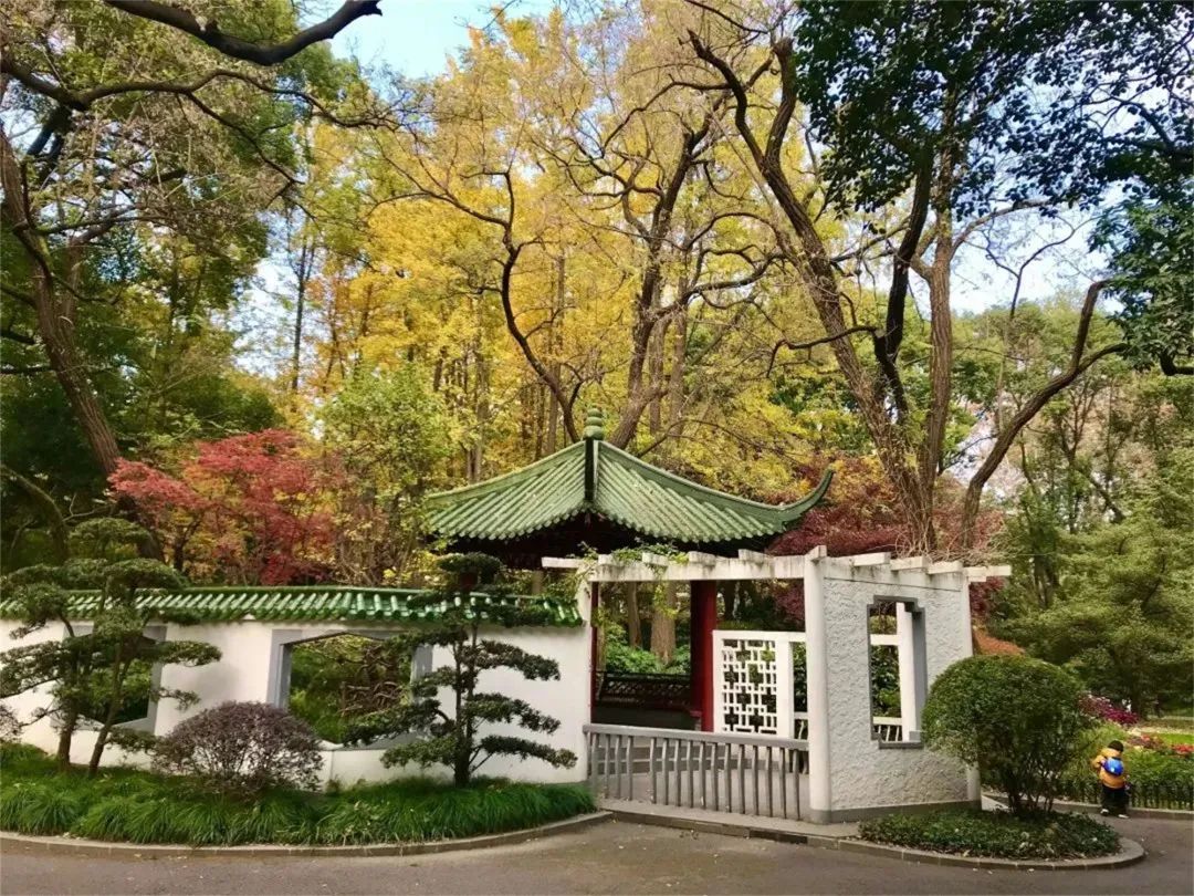 上海13号地铁沿线玩的好地方,上海地铁游玩攻略