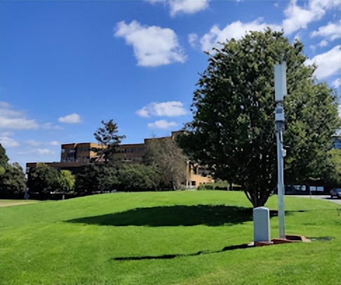 英国萨里大学介绍，专业分析和择校建议