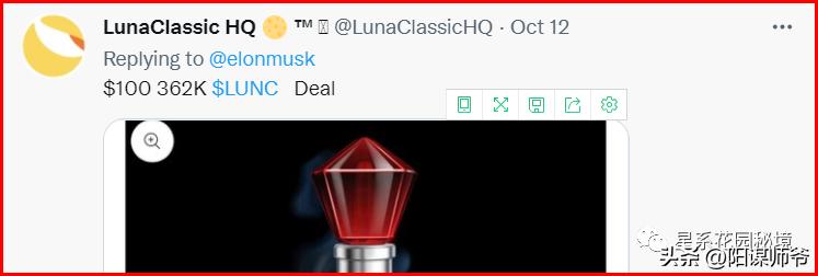 马斯克没有钱之前做什么,马斯克再次带货