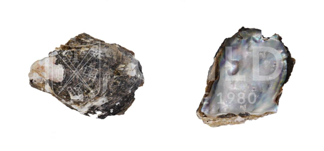 世界杯历史上最昂贵的比赛,最贫穷的世界杯