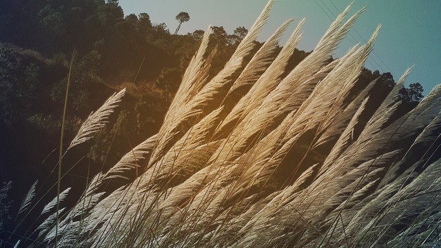 微商运营策划怎么做,微商运营推广方法有哪些