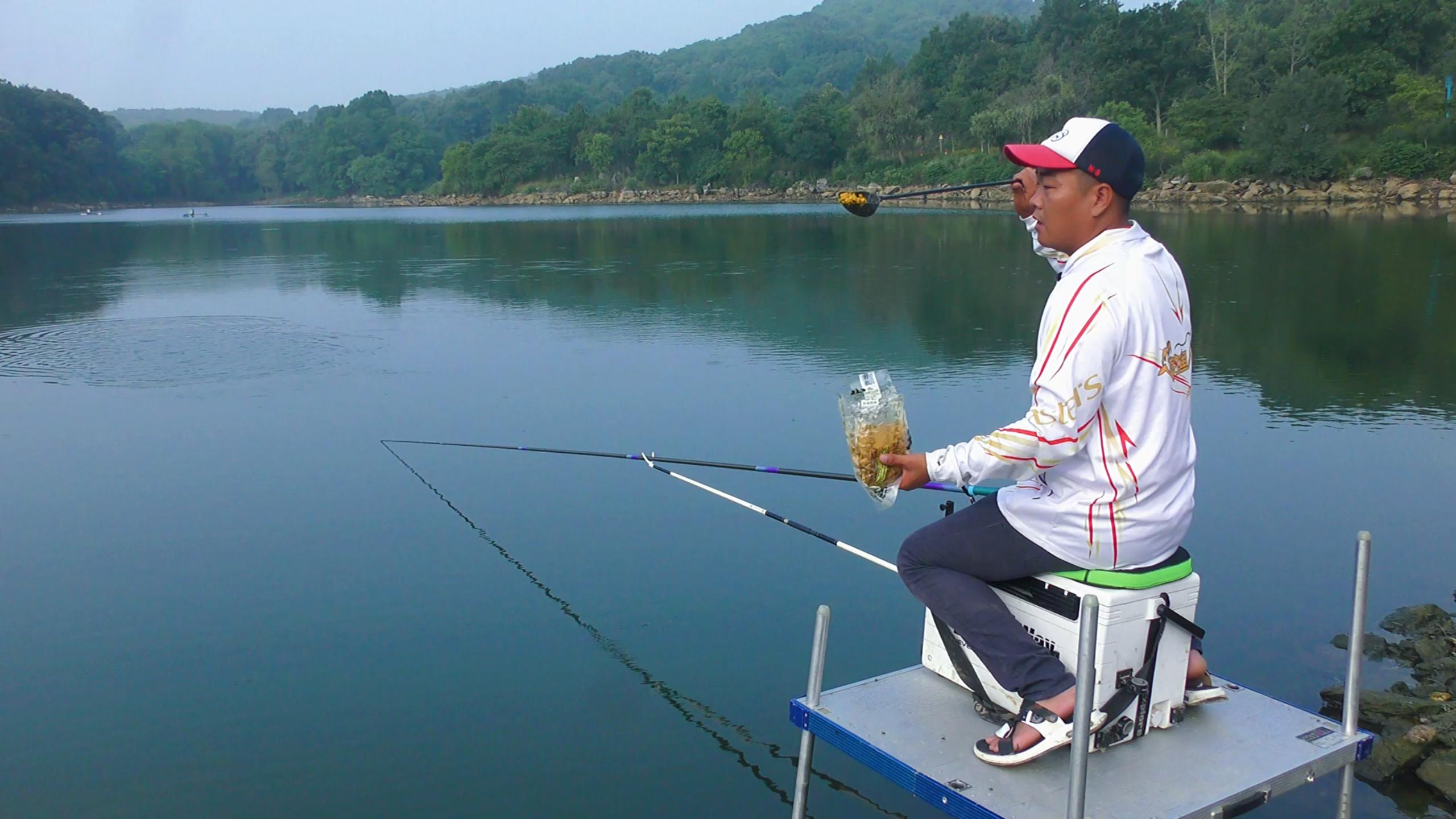 鱼儿无缘无故死掉是怎么回事,鱼停口不上钩怎么办