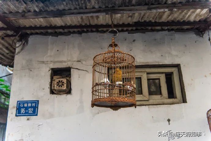 桃叶渡、乌衣巷、白鹭洲……南京那些绝美地名