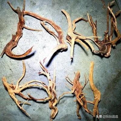 水草缸那些沉木黄水?木头菌膜如何处理?鱼缸造景十一:木头篇