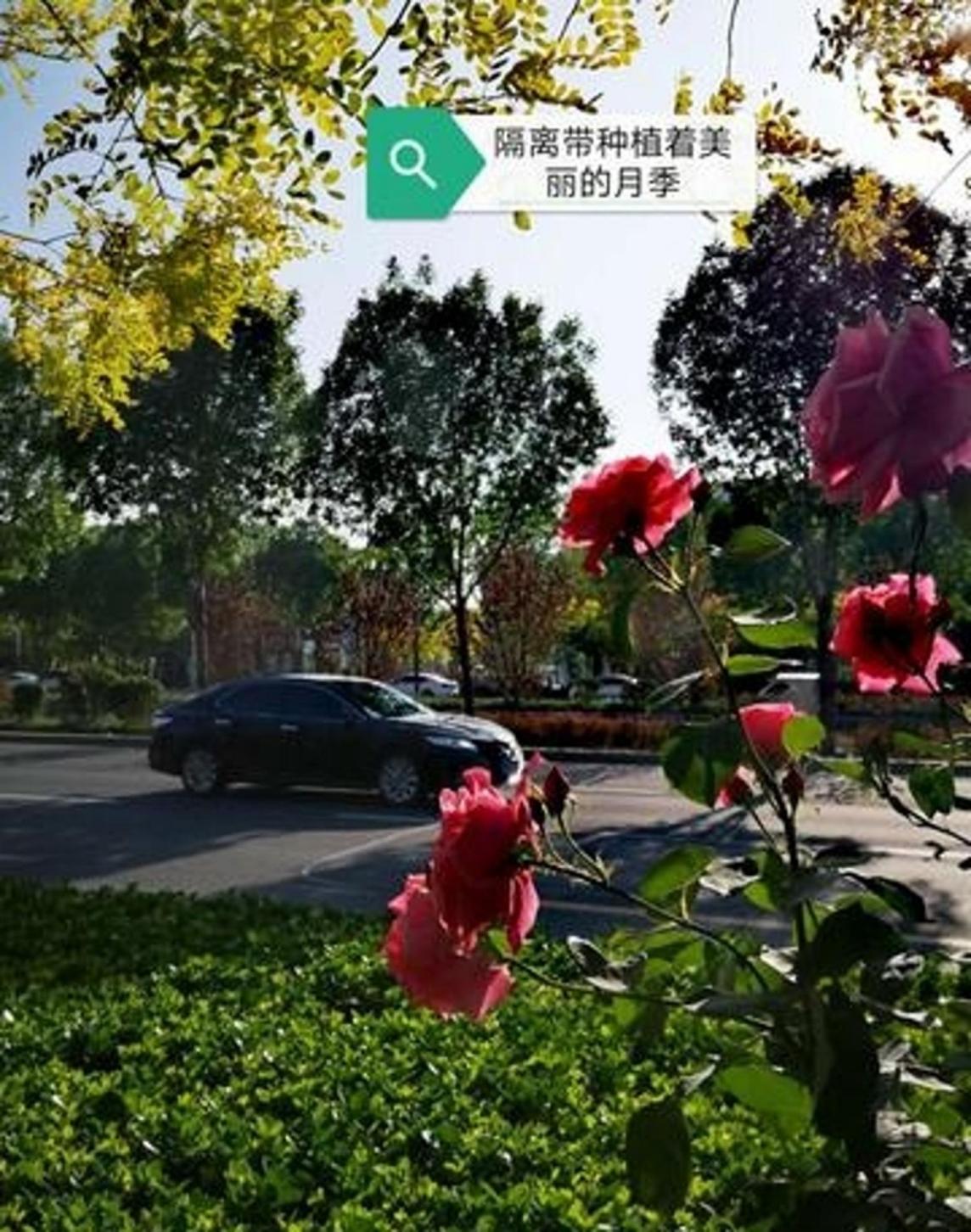 太行一号：陵川繁荣路