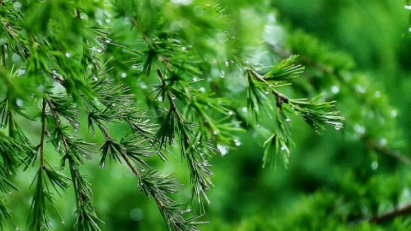 人生就是一场历练与感悟,人生就是一种感受一种历练