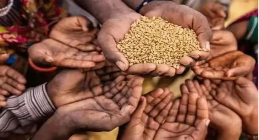 美国控制全球粮食价格的原因,美国控制粮食价格吗