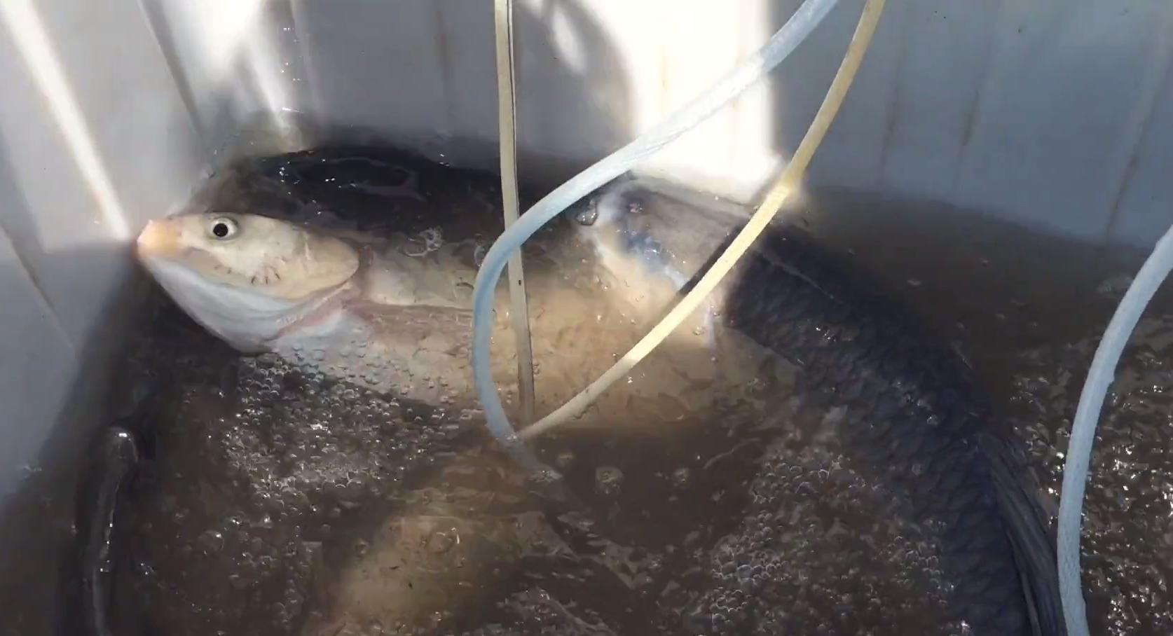 鑾嗙敯鍙伴娴锋按鍊掔亴,鑾嗙敯娴锋按鍊掔亴鎹¢奔