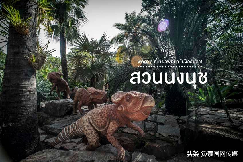 泰国芭提雅旅游景点大全,泰国芭提雅最新游玩