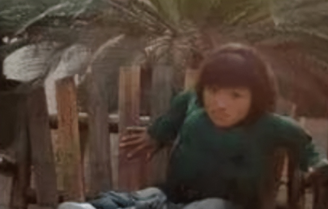 身价千万女总裁李喜梅的感情史,身价千万女总裁李喜梅的爱情故事