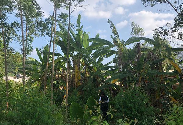 12岁女孩遭性侵两次怀孕，一家四口智障，犯罪嫌疑人尚未确定