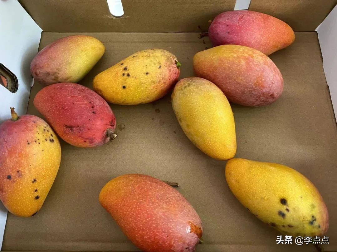 封控1个多月,上海的物价有多离谱?