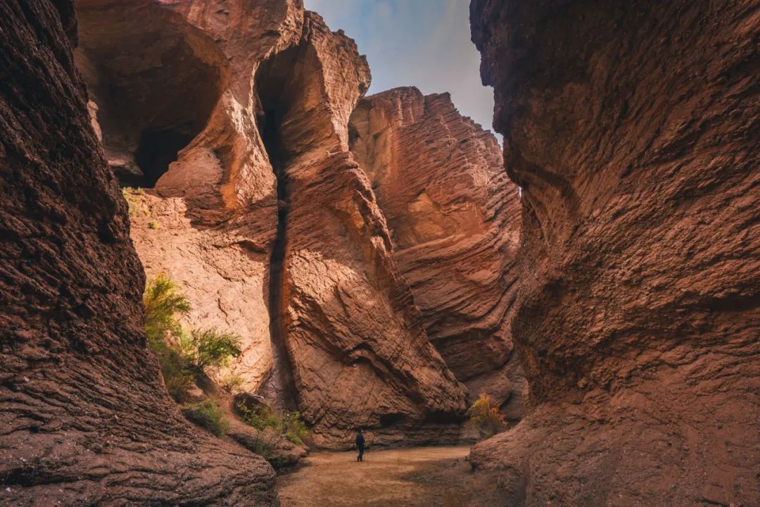 独库独行,独库南库