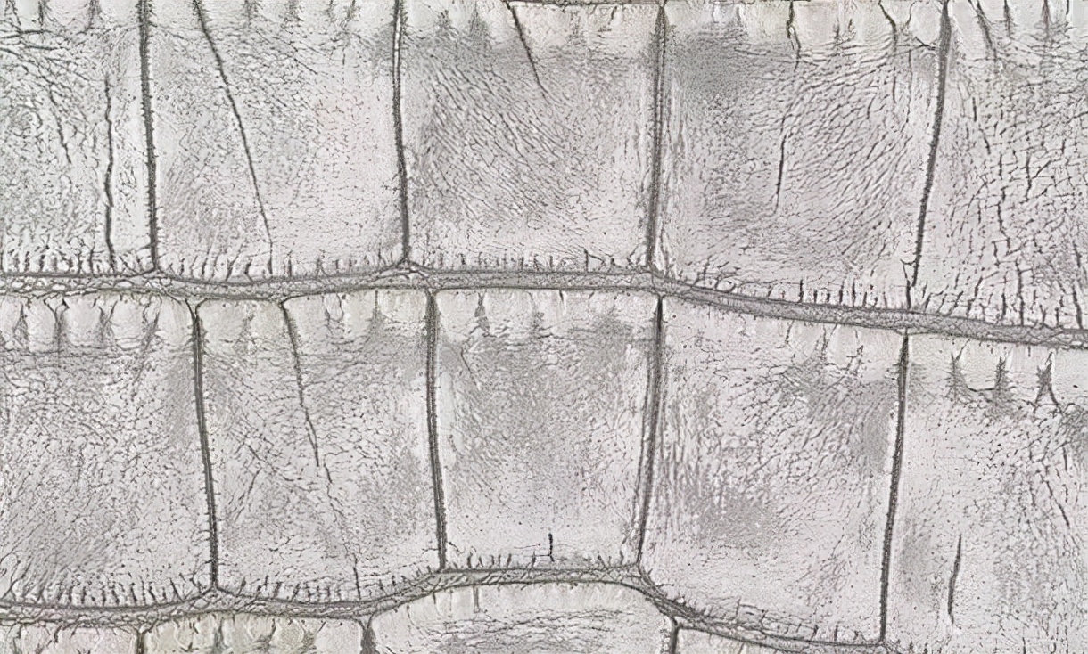 香奈儿鱼子酱的大球皮是什么皮质,香奈儿cf小号皮质是硬的还是软的