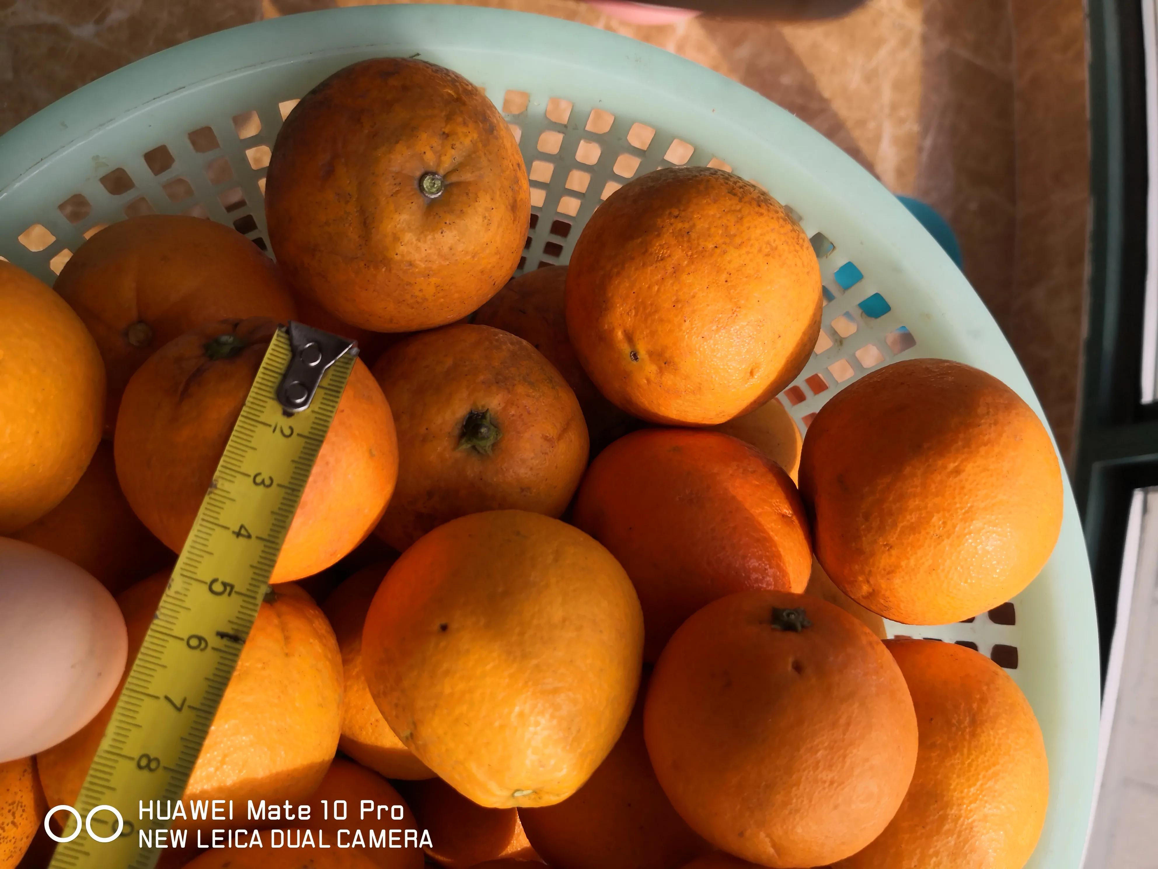 从“老王果园自销基地”网购水果感想