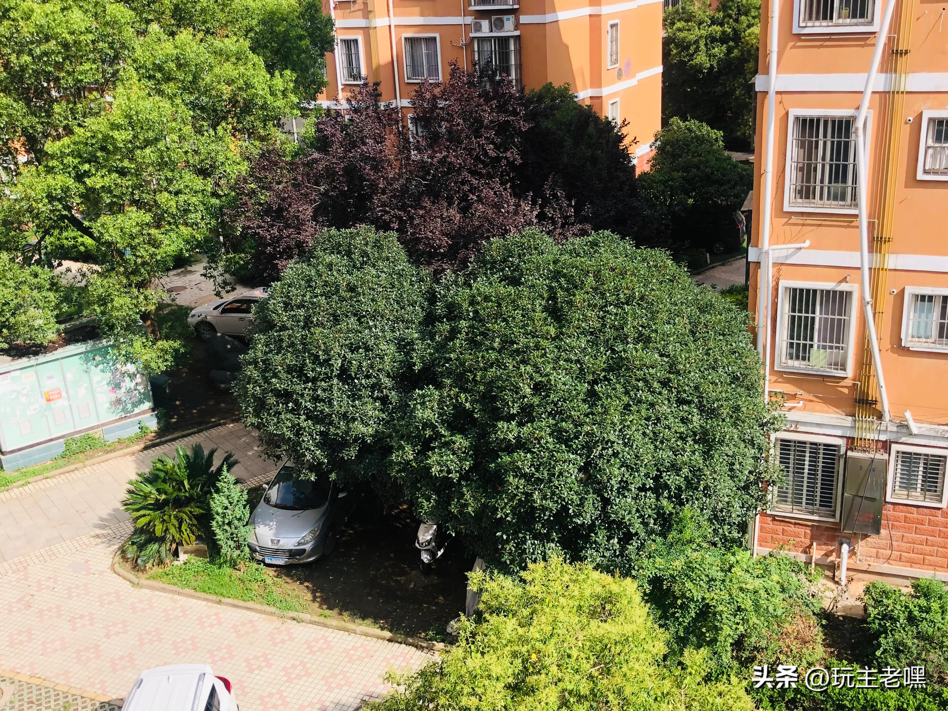 问道浮光静影,浮光静影沉璧