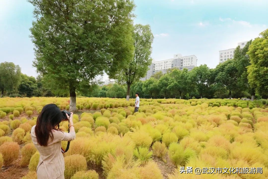 秋天的公园像一幅美丽的油画,园博园油画