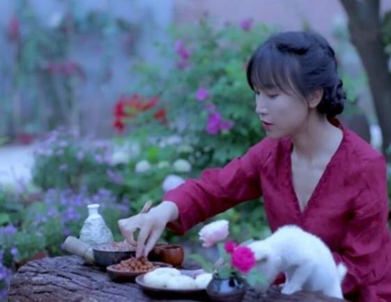 李子柒停更一年，外网视频*放播**还能产生广告收益，高达78万元每月