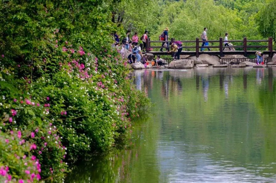 济南近郊旅游专线,济南开通的几条旅游线公交不错