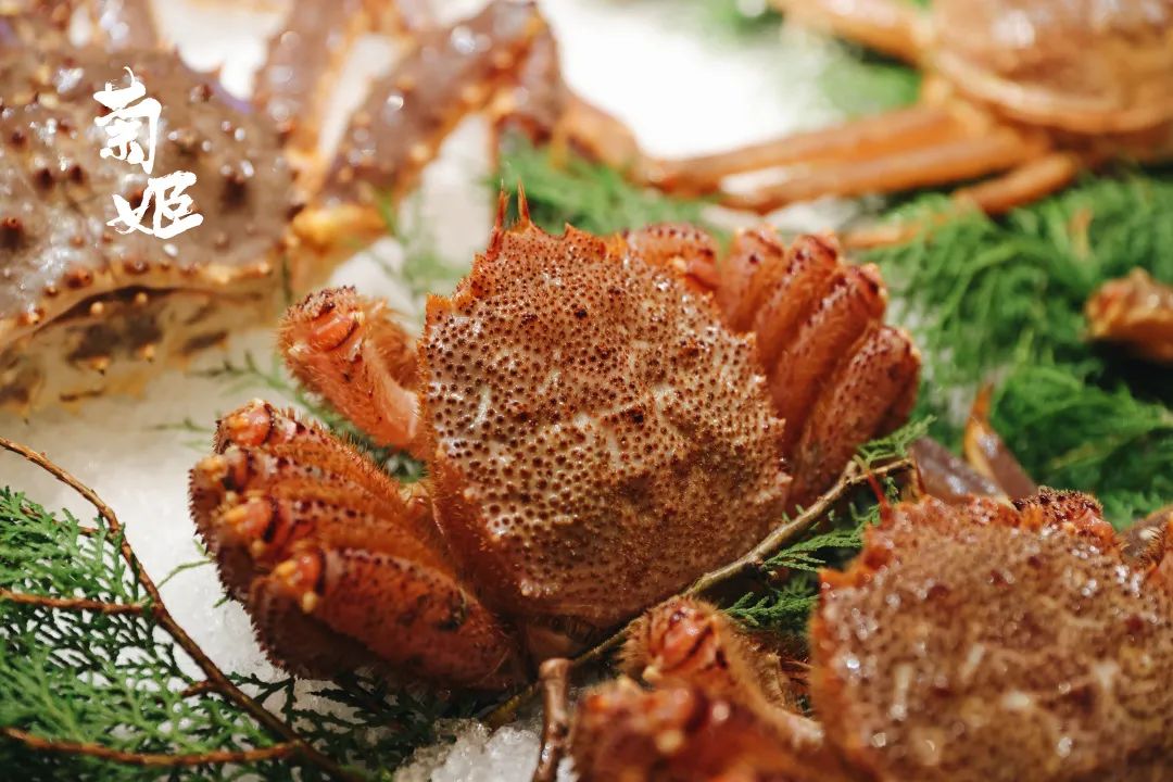 快闪一夏！「CAPE生活艺术周」玩法全攻略来了！