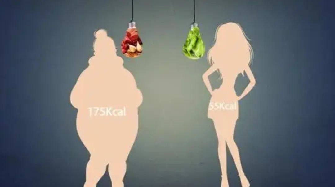 禁毒知识毒品有哪些危害,禁毒贩毒的知识