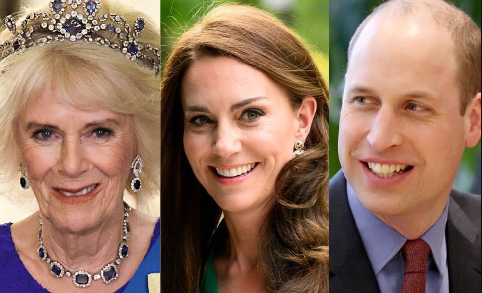 王室屈膝礼凯特卡米拉,英王室为什么不接受卡米拉