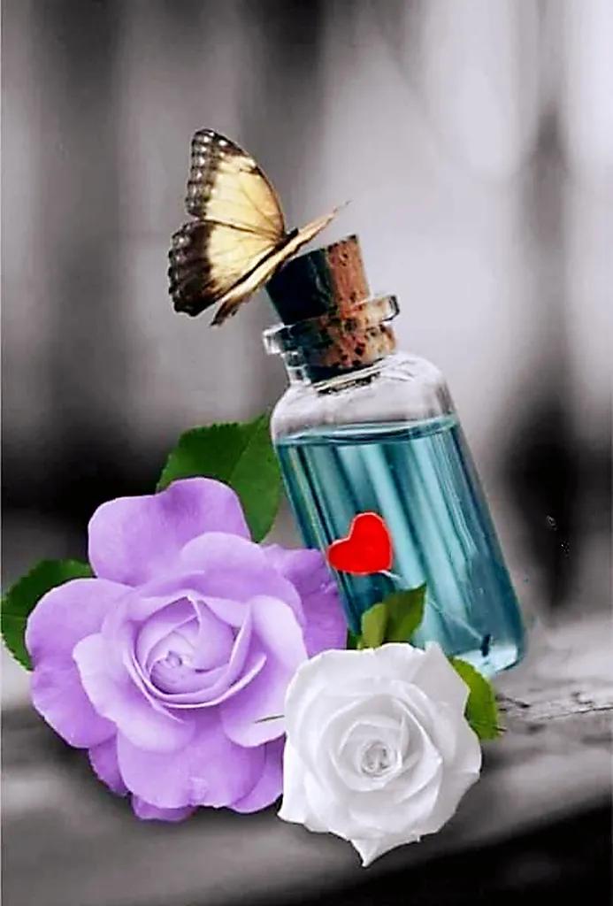 鲜花永远是女人的最爱,鲜花打动女人心