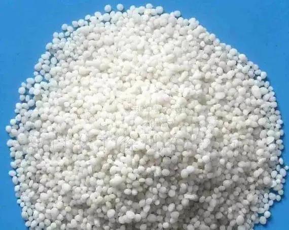 小麦籽粒贮藏蛋白质,小麦贮藏蛋白