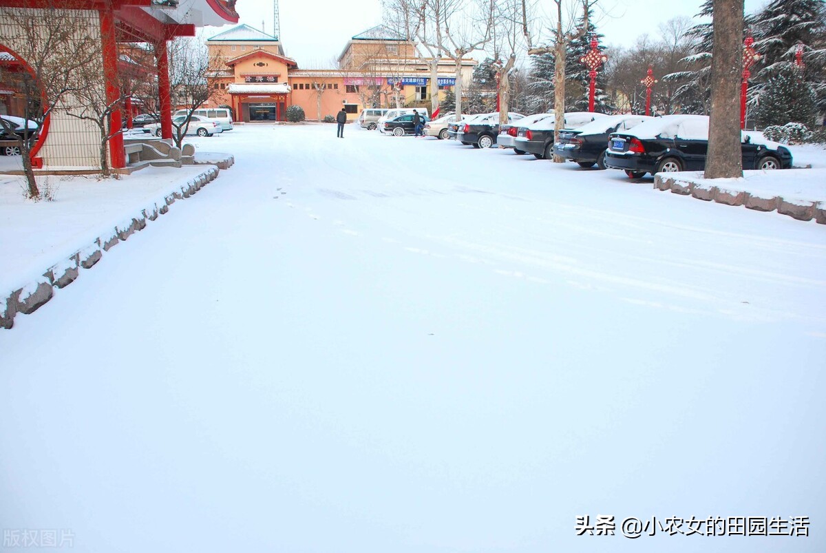天气预报冻雨和特大暴雪,天气预报最新政策