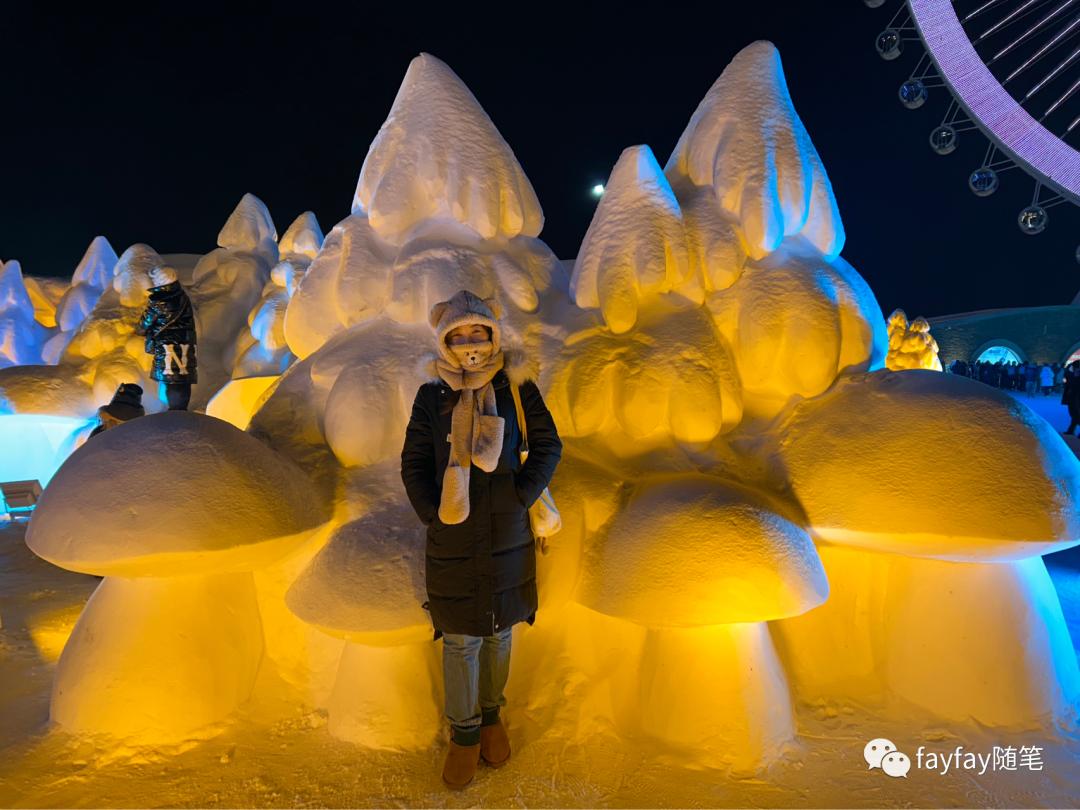 孤独的哈尔滨,哈尔滨三天两晚旅游攻略玩雪