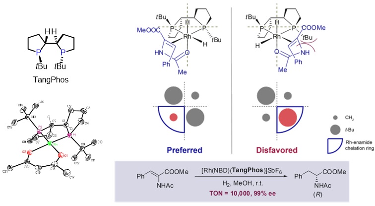 南科大张绪穆,张绪穆为什么离开武大