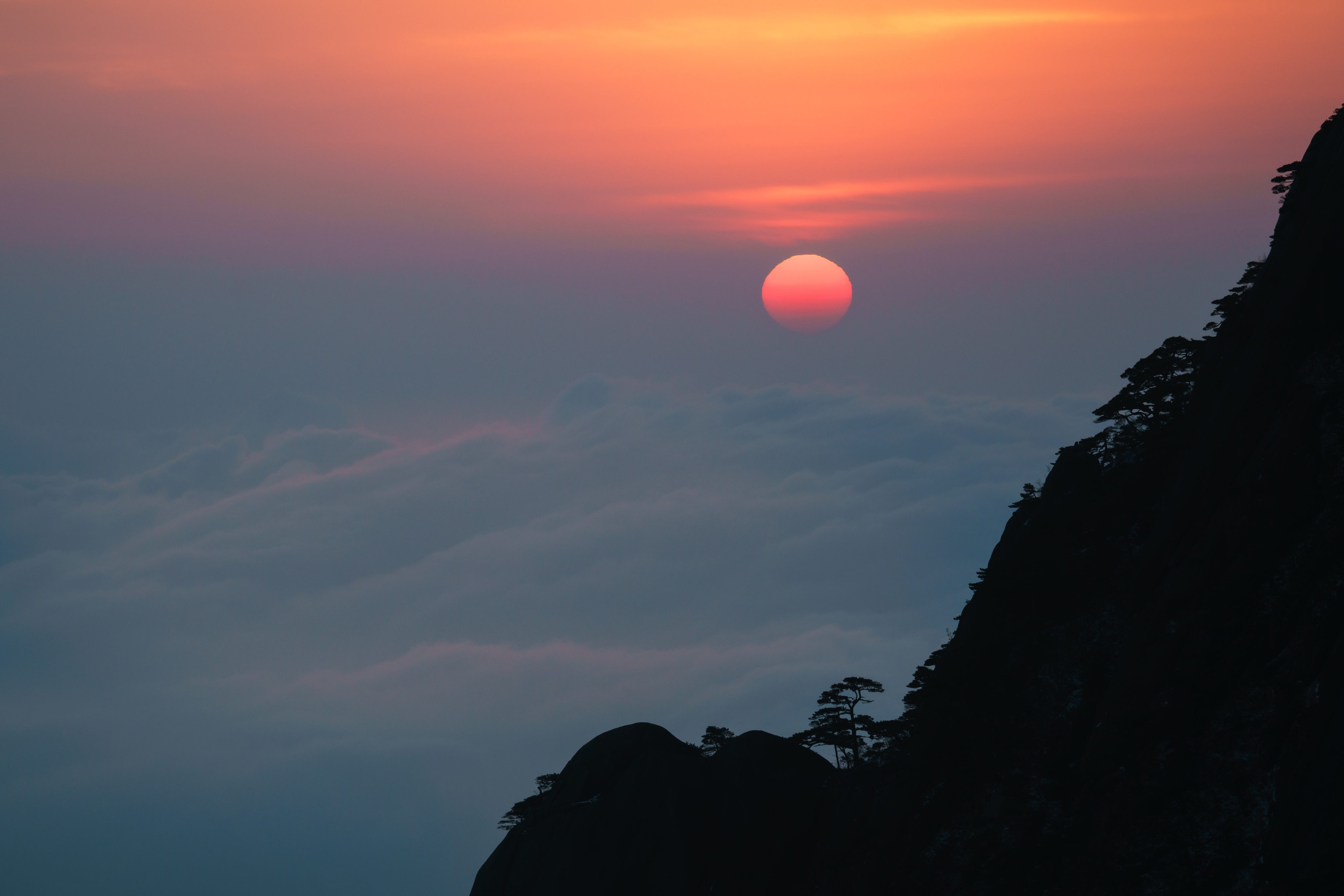 拍野生动物摄影作品,拍动物风景