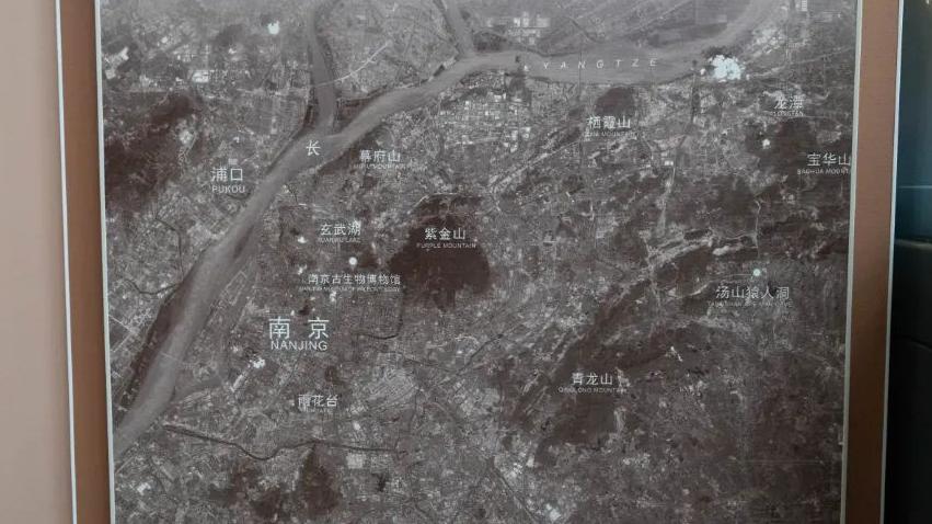 相约博物馆的感受,古生物博物馆南京