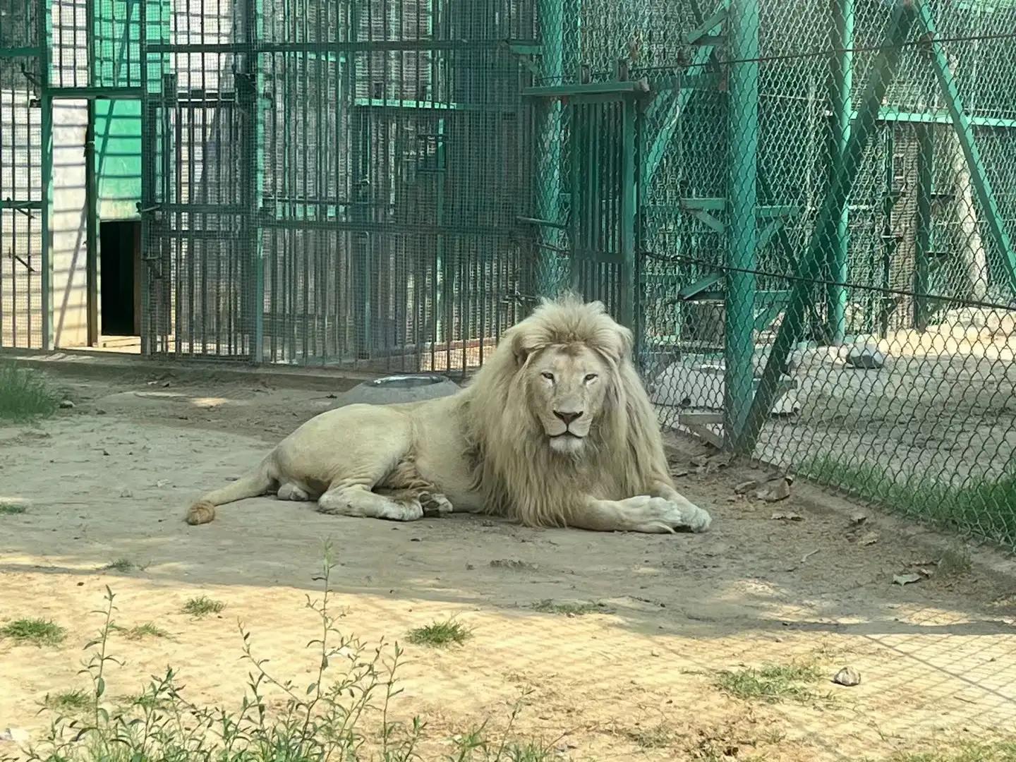 想做生意一定要注意些什么,想做小生意的都来看看