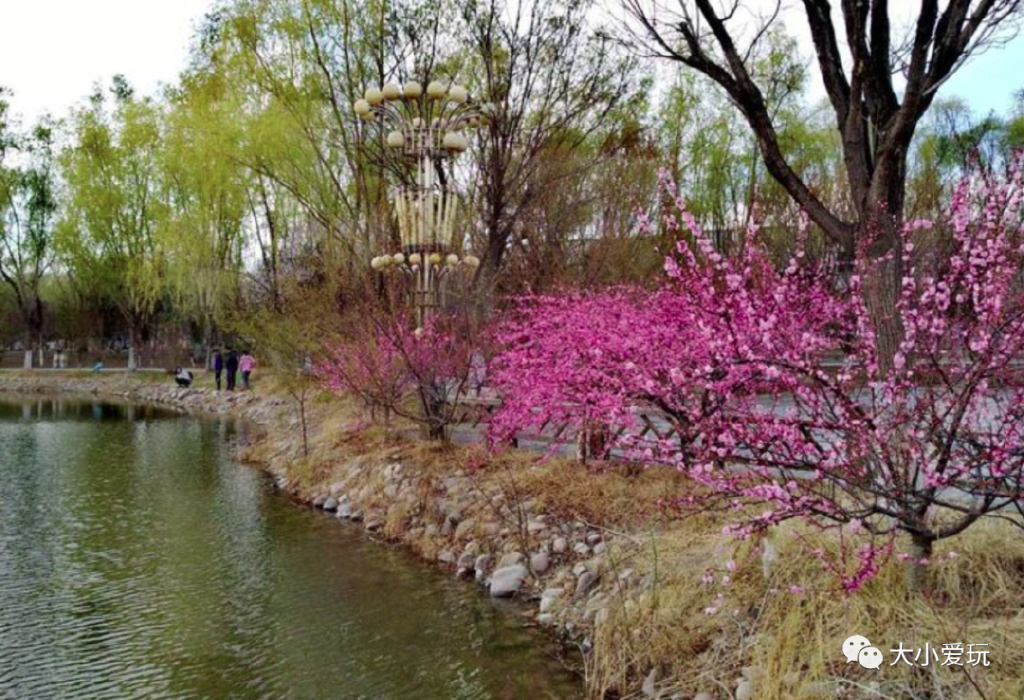 北京可以搭帐篷的免费公园,北京3月可以搭帐篷的公园