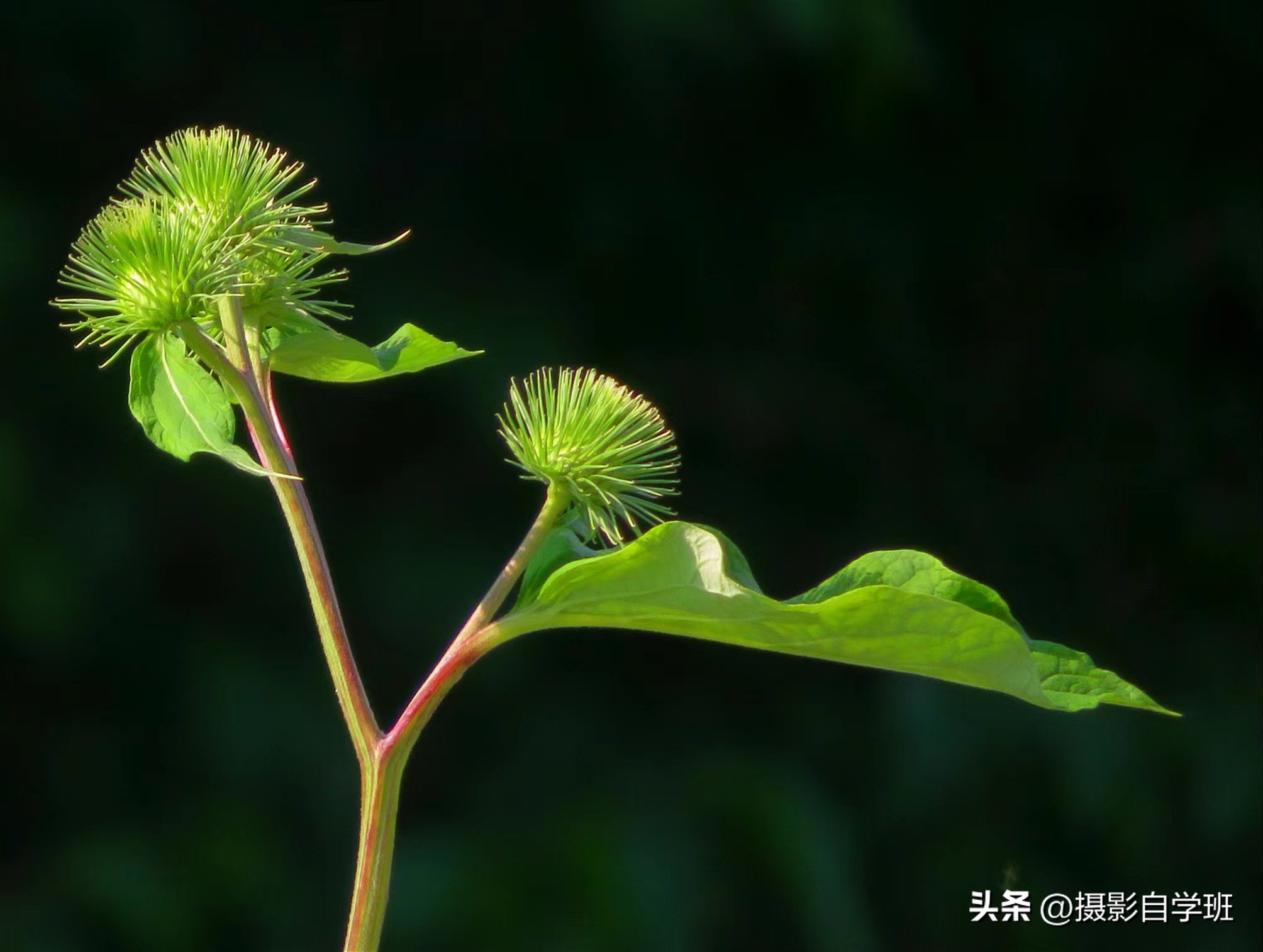 摄友投稿图片,摄友投稿旅行记录图