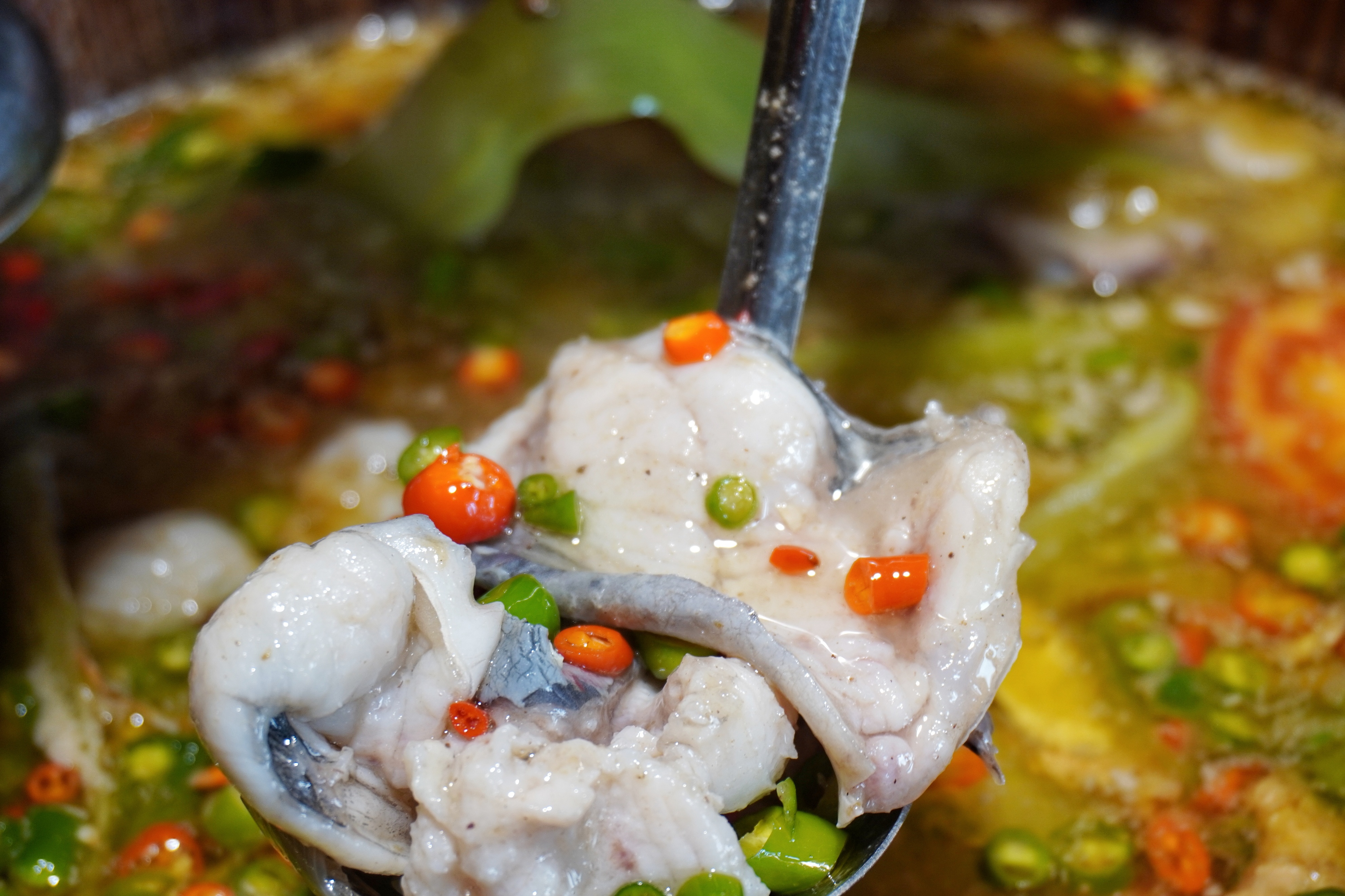 昆明鱼火锅店哪家最好吃,昆明鱼火锅哪里最正宗