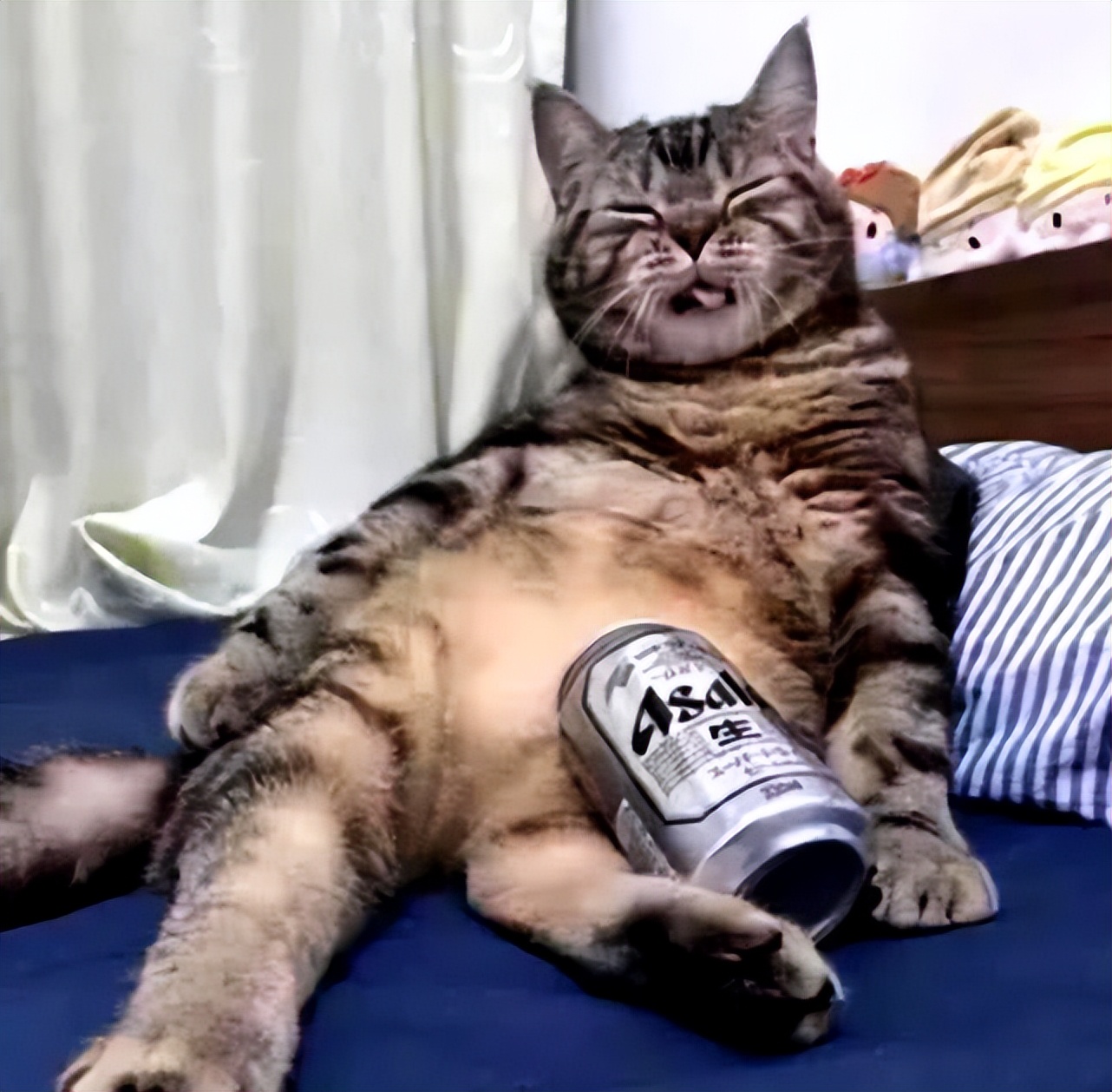 最难忘的醉酒经历,第一次醉酒的趣事