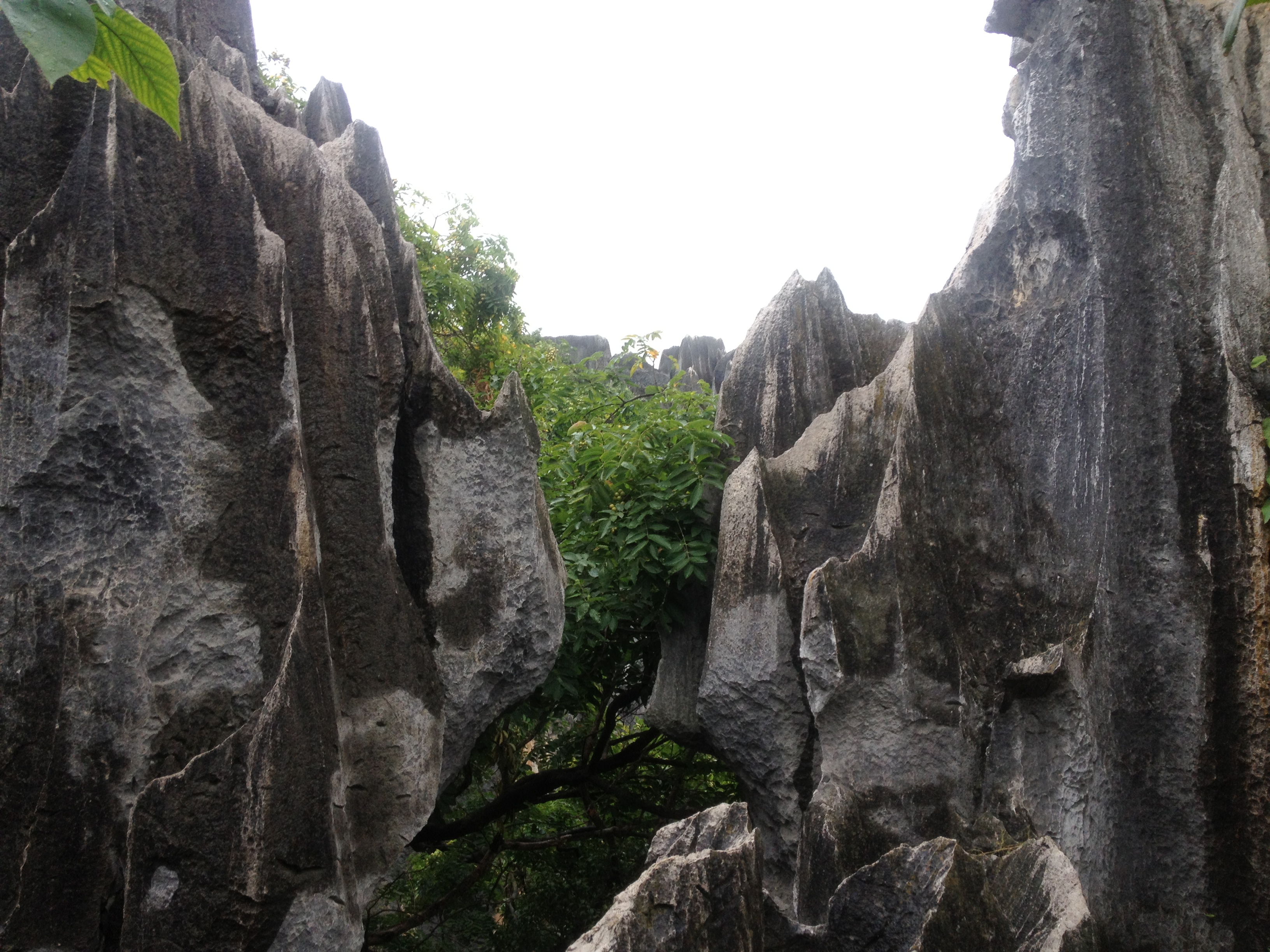 云南石林旅游必去的地方,云南石林可以游玩的地方