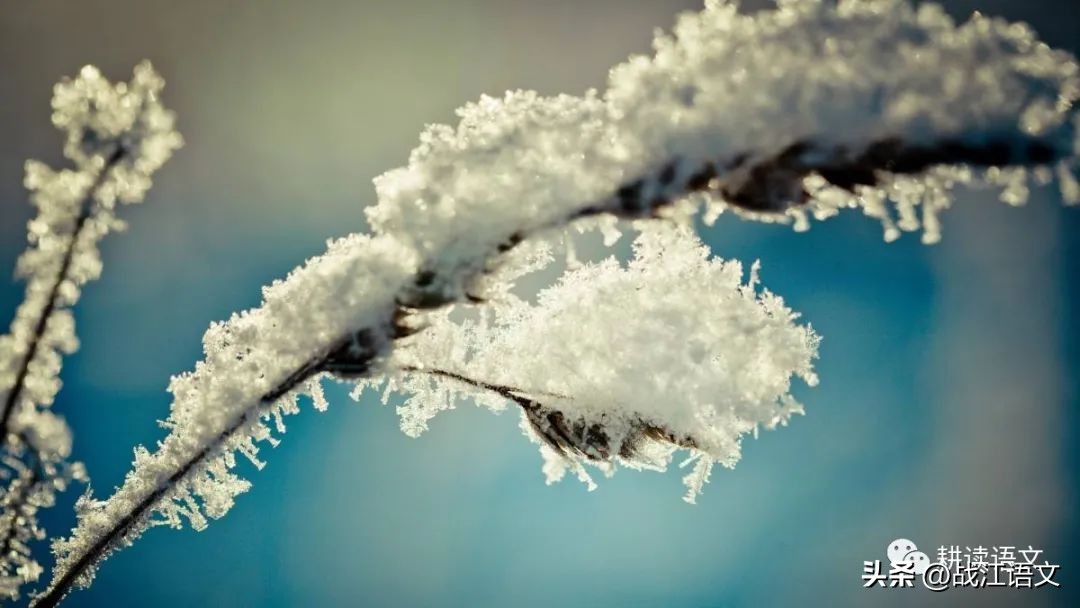 中考书信作文题,书信式作文中考满分范文