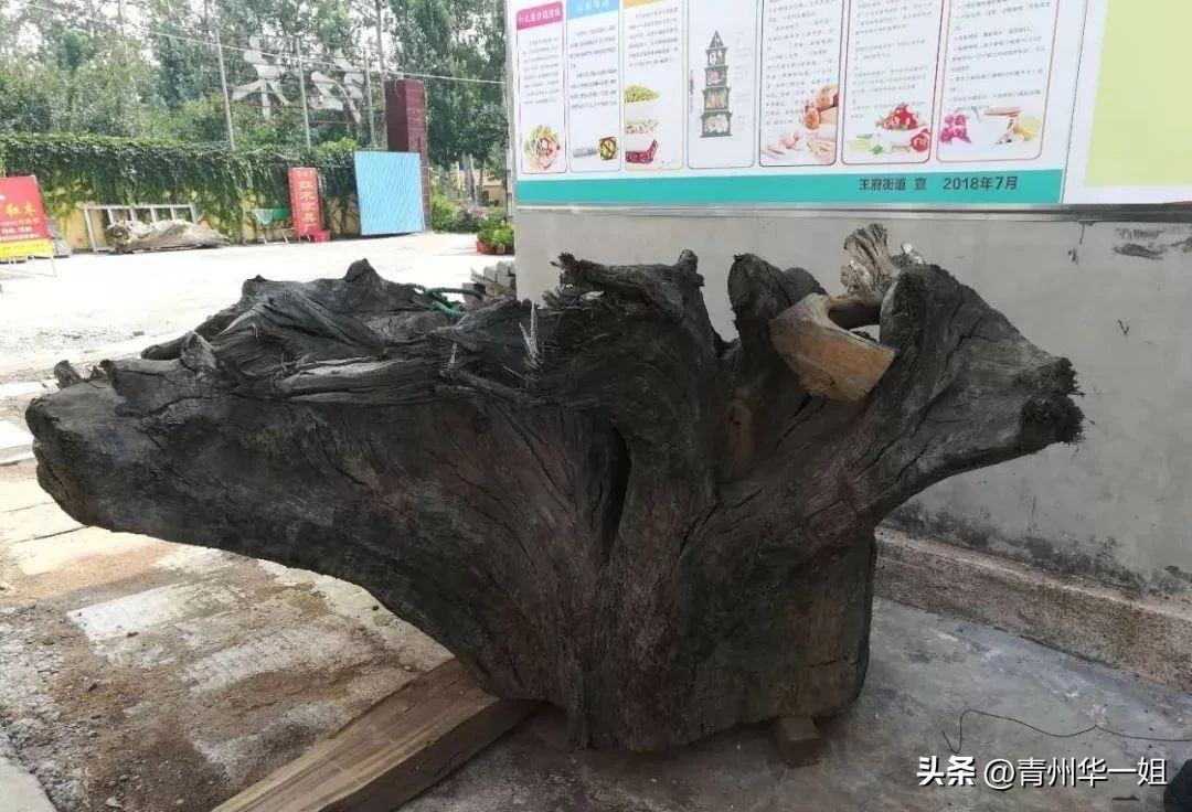 顶级金丝楠乌木有收藏价值吗,金丝楠阴沉木乌木小叶桢楠碳化木