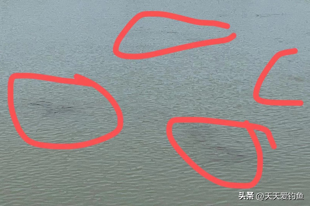 野钓最怕的天气是多少度,夏季野钓什么风向最好