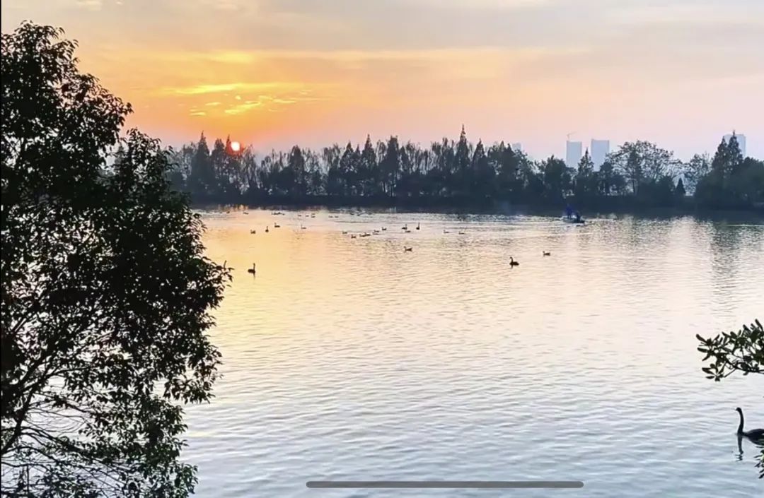 南昌的秋天文案,南昌的秋天闪闪发光