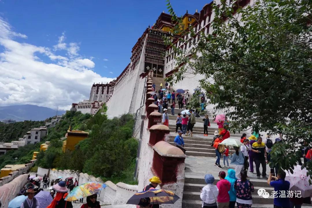 *藏西**行九点观感