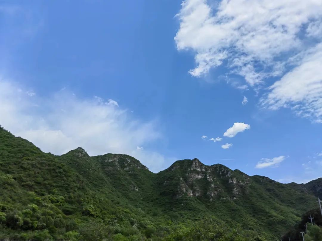 学中医学的好不好，一看就知道了