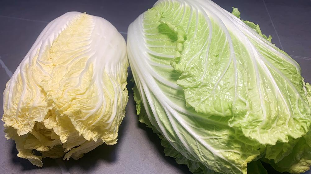 买白菜还是有一定的技巧,买白菜黄叶和绿叶哪个好